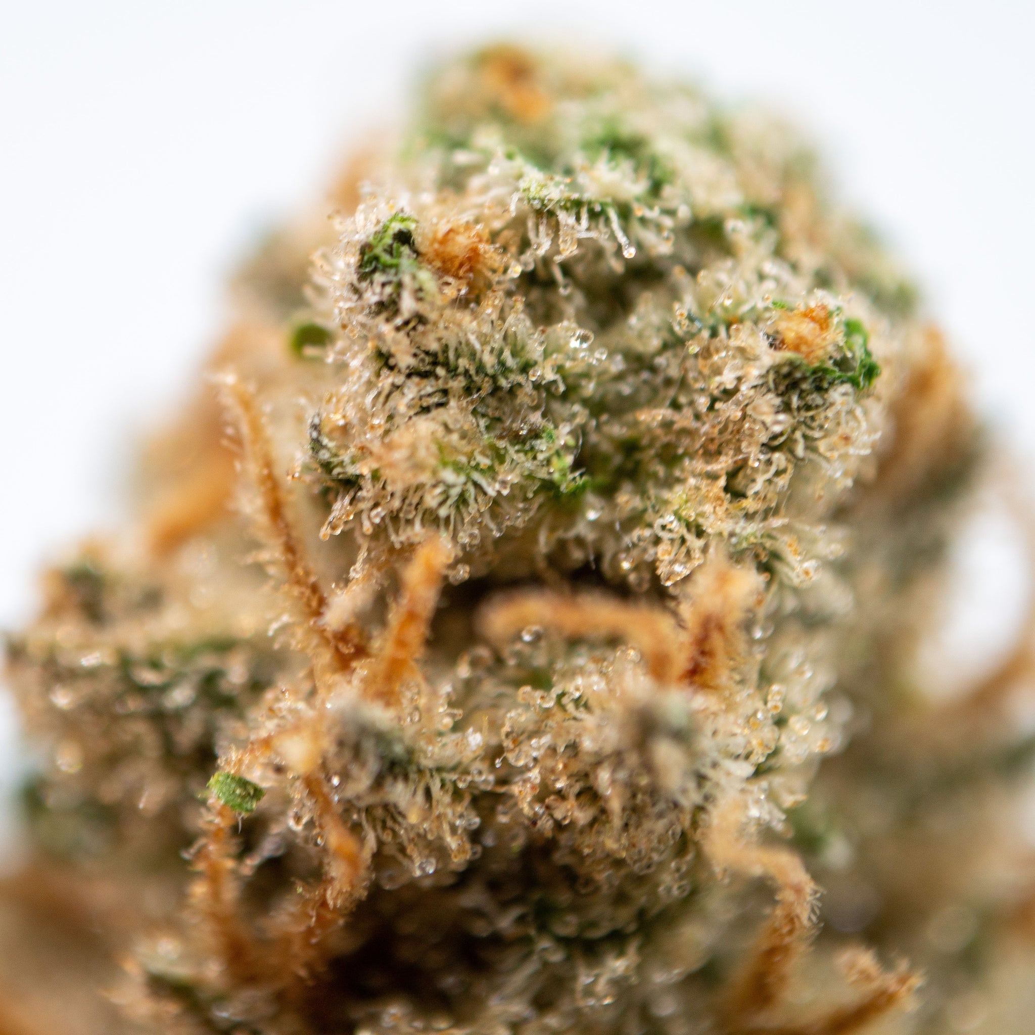 Flores CBD
