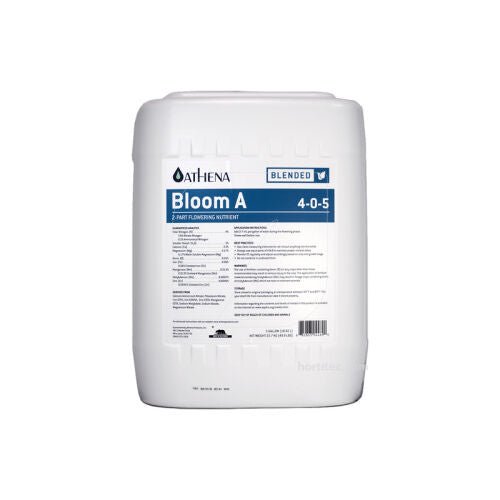 BLOOM A ATHENA