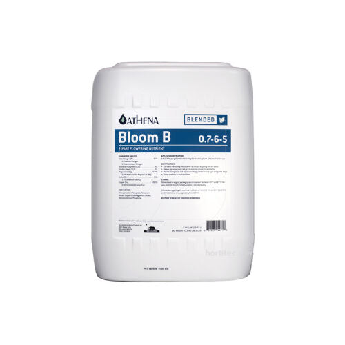 BLOOM B ATHENA